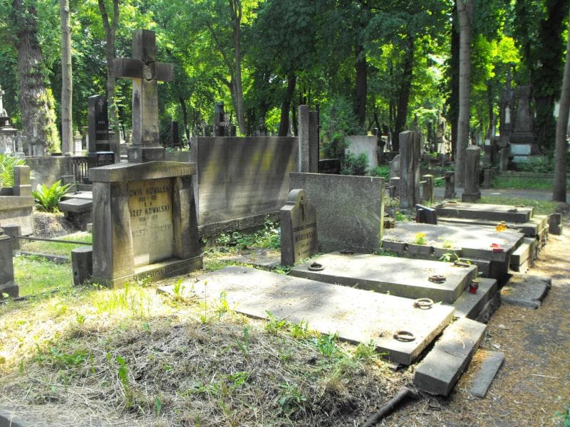 Zdjęcie grobu Henryk Busse (2)
