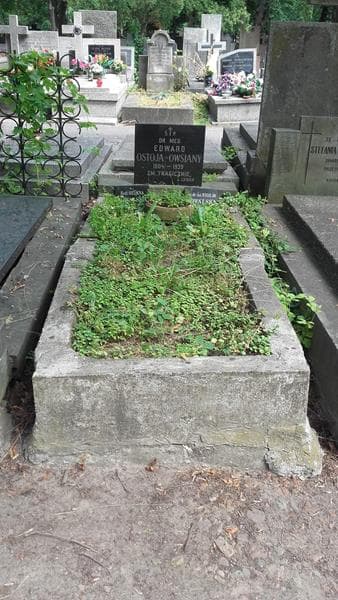 Zdjęcie grobu Edward Ostoja-Owsiany (1)