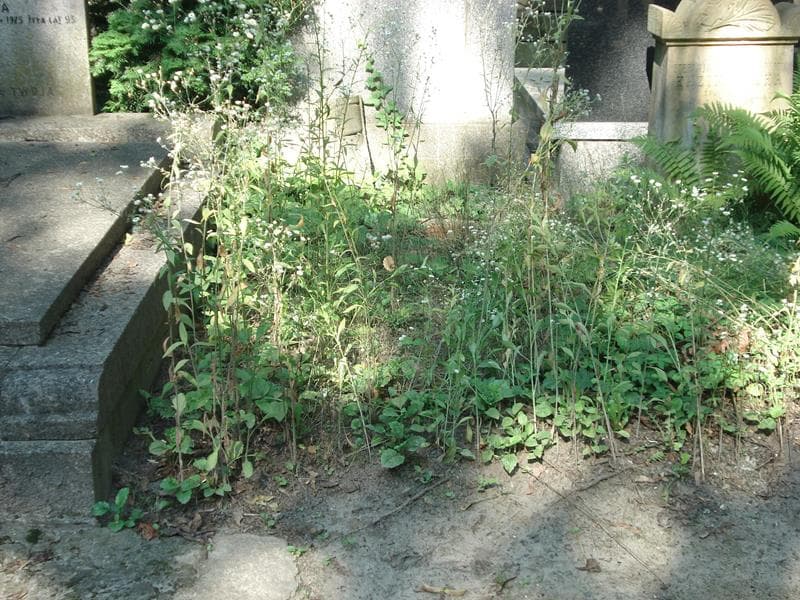 Zdjęcie grobu: Pole Grobowe