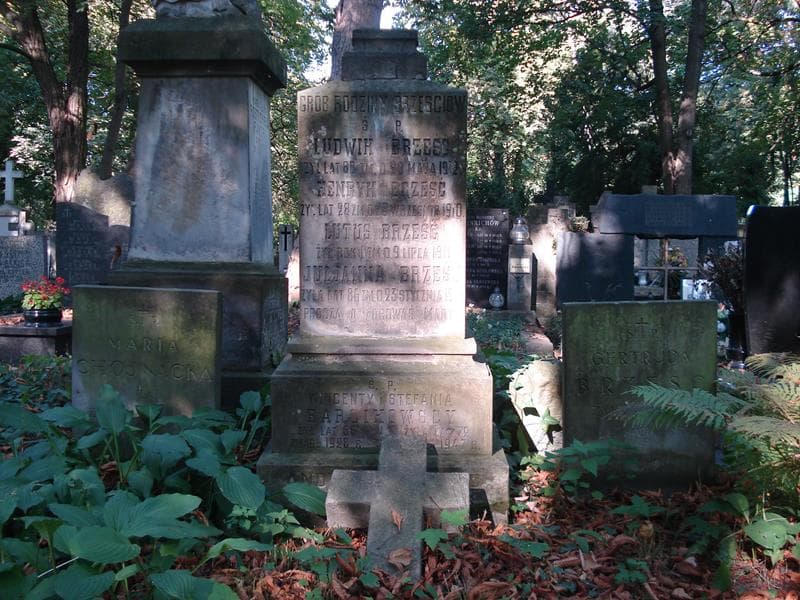 Zdjęcie grobu Henryk Brześć (2)