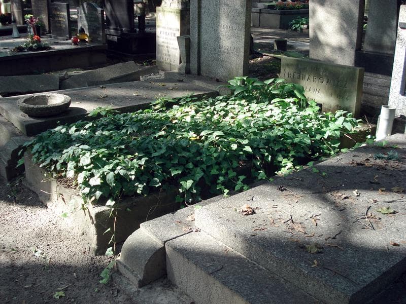 Zdjęcie grobu: Stanisława Bejnarowicz