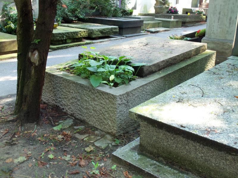 Zdjęcie grobu Stanisław Hempel (2)