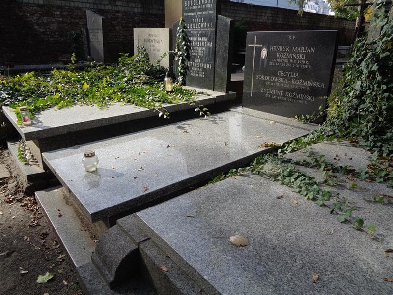 Zdjęcie grobu: Henryk Marjan Koźmiński
