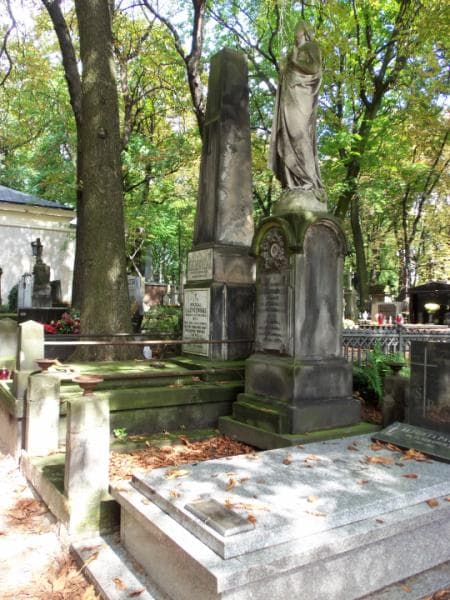 Zdjęcie grobu Bronuś Krzyżanowski (1)