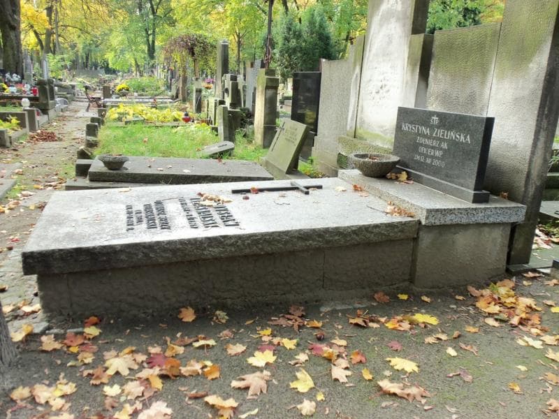 Zdjęcie grobu Władysław Trzaskalski (1)