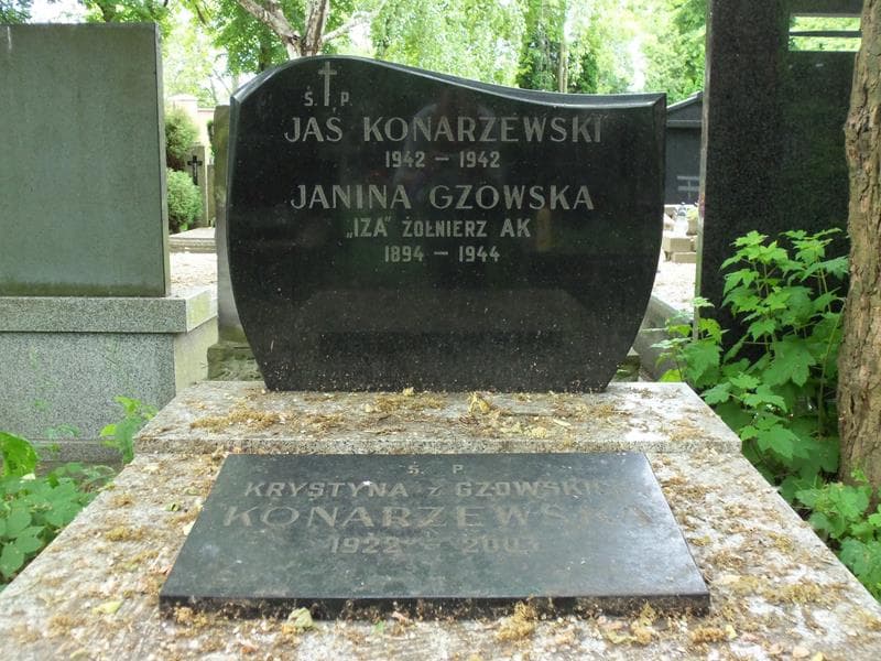 Zdjęcie grobu Janina Gzowska (2)
