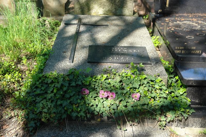 Zdjęcie grobu: Janina Hądzel