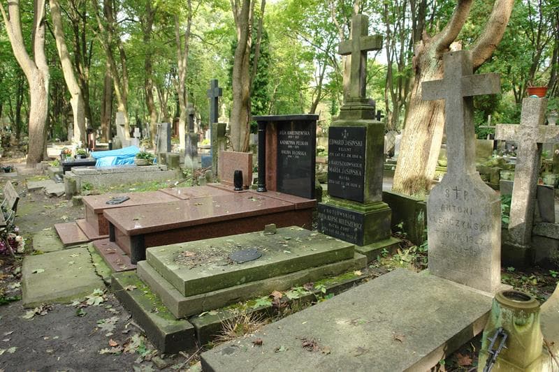 Zdjęcie grobu: Wiera Wiesława Jasińska