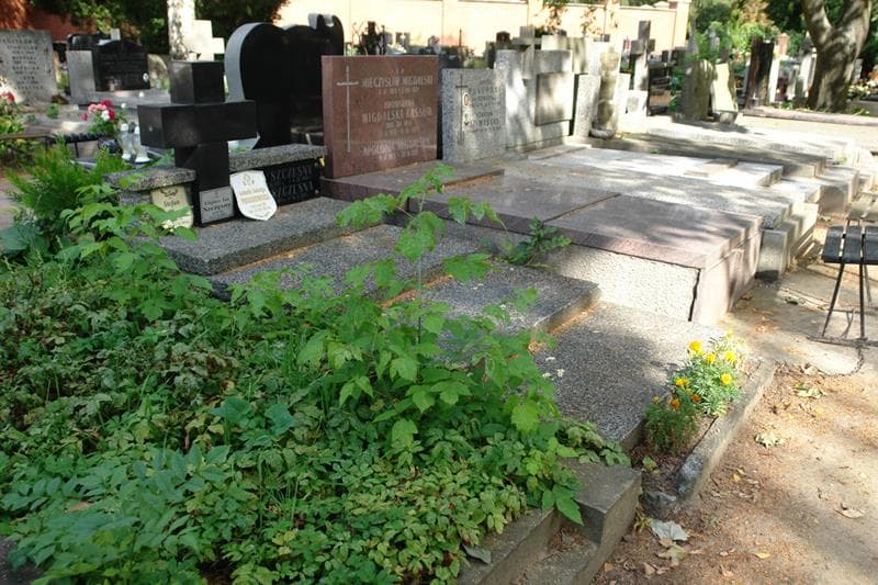 Zdjęcie grobu: Feliks Szczęsny