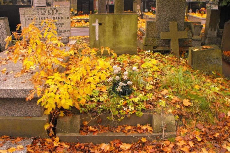Zdjęcie grobu: Józef Górski