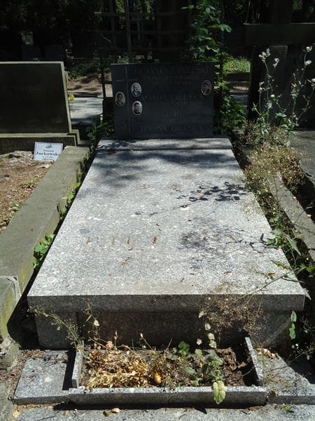 Zdjęcie grobu: Teresa Bielska