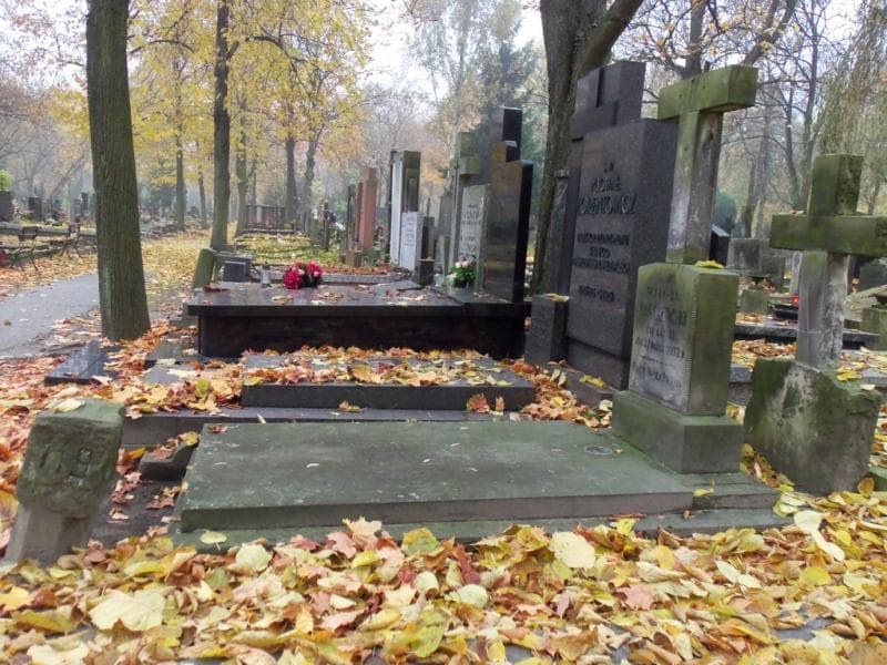 Zdjęcie grobu Witold Nagujewski (1)