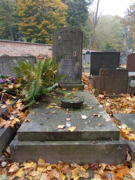 Zdjęcie grobu Władysława Pudełko (1)