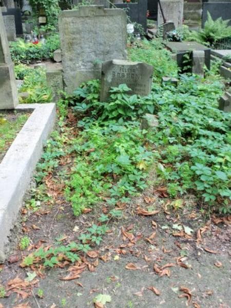 Zdjęcie grobu: Feliks Bogucki