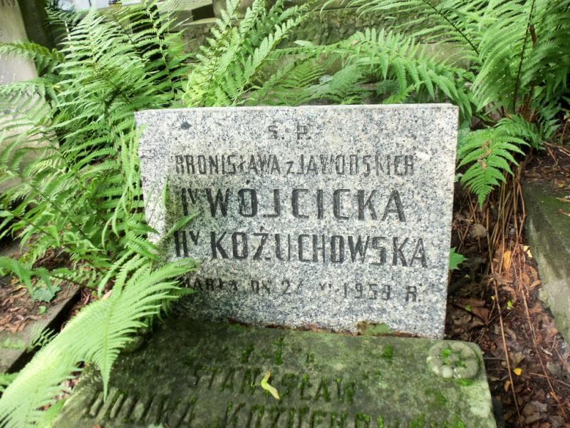 Zdjęcie grobu Stanisław Doliwa Kożuchowski (2)