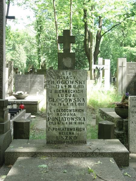 Zdjęcie grobu Ignacy Głogowski (2)