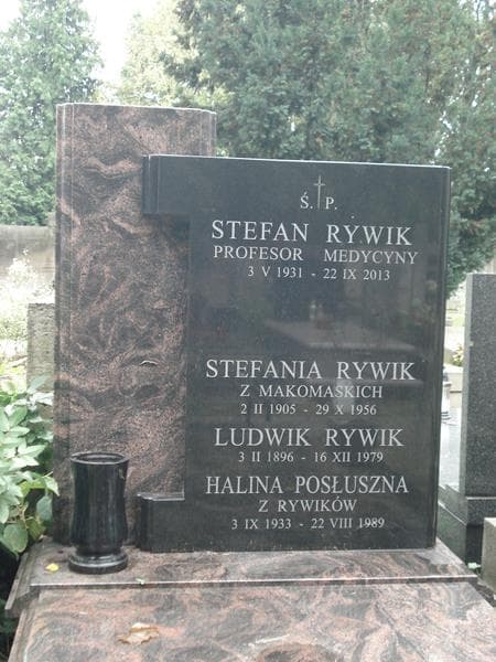 Zdjęcie grobu Ludwik Rywik (2)