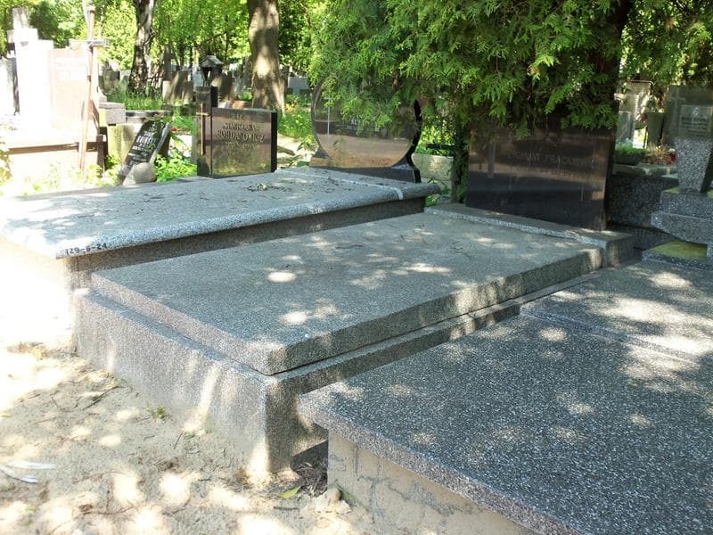 Zdjęcie grobu Zygmunt Frąckiewicz (1)