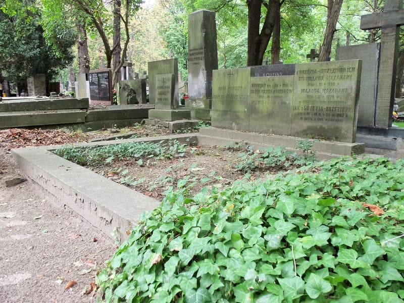 Zdjęcie grobu Aniela Zagórska (1)