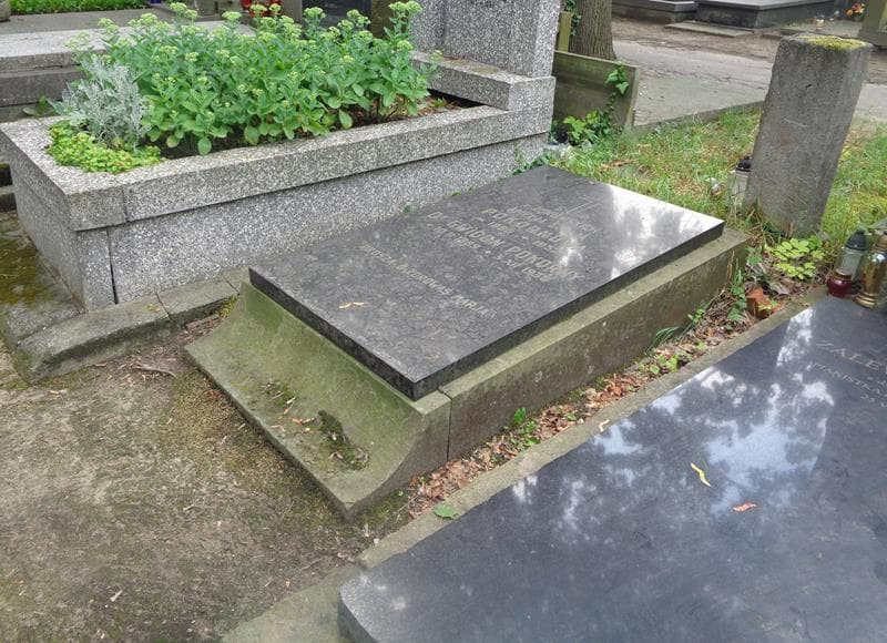 Zdjęcie grobu: Gwidon Pokorny