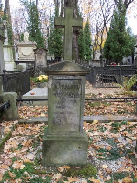 Zdjęcie grobu Karol Wołowski (2)