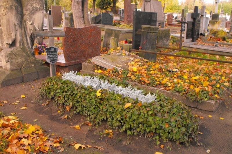 Zdjęcie grobu Halina Podwojcic (1)