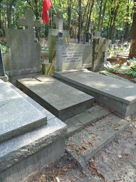 Zdjęcie grobu: Irena Goździkowska