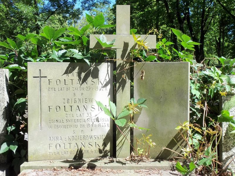 Zdjęcie grobu Anna Foltańska (2)