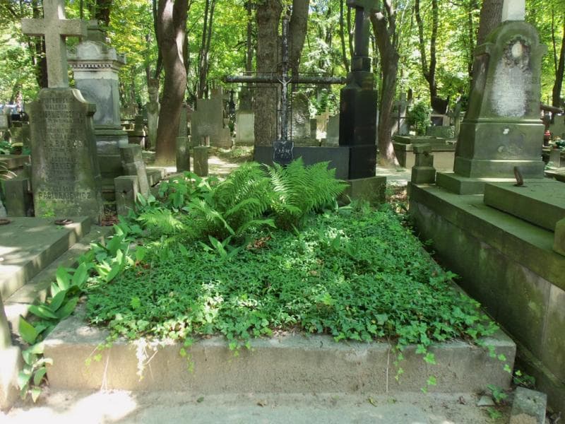 Zdjęcie grobu Wiesława Bekasiewicz (1)