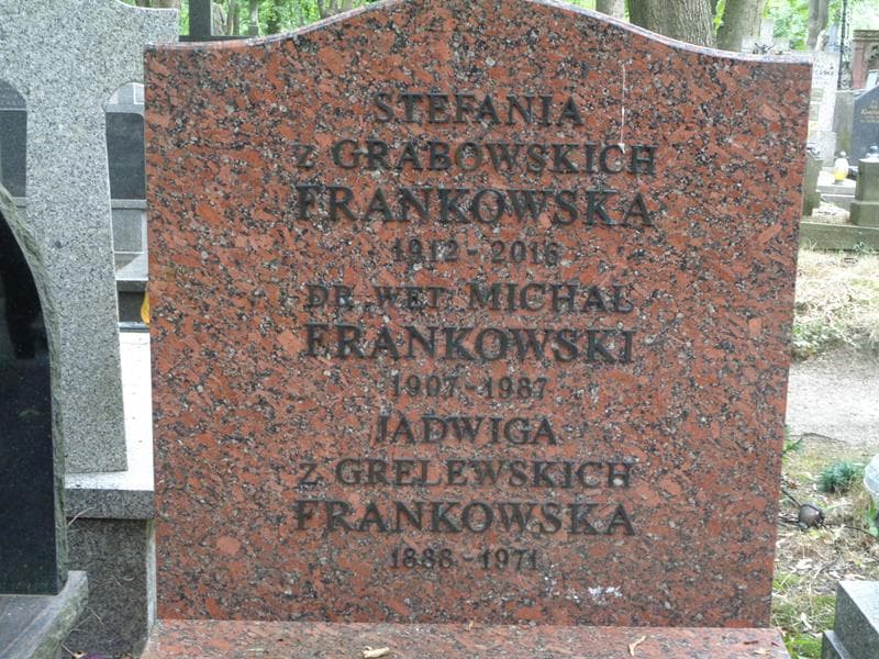 Zdjęcie grobu Michał Frankowski (2)