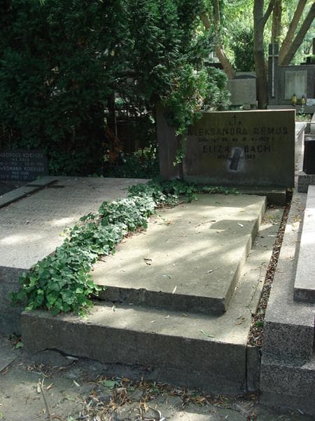 Zdjęcie grobu Eliza Bach (1)