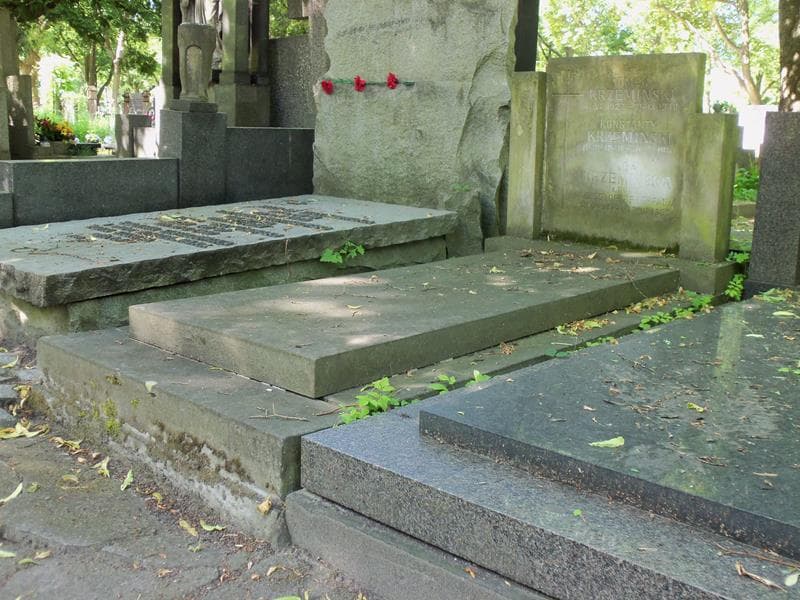 Zdjęcie grobu Konstanty Krzemiński (1)