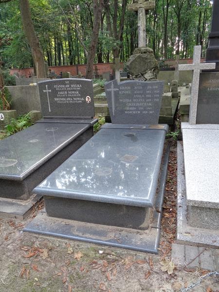 Zdjęcie grobu Julia Krzos (1)