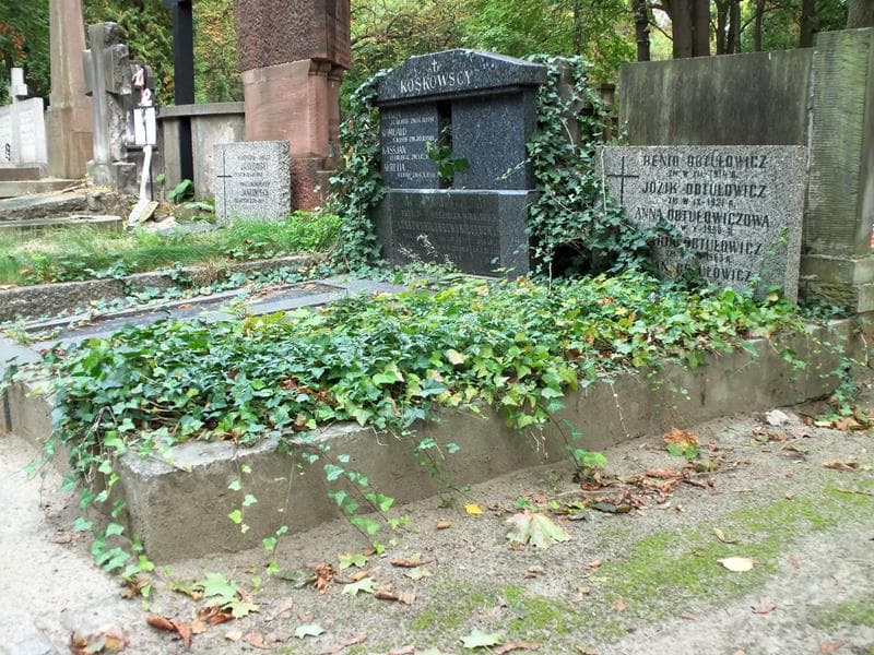 Zdjęcie grobu Jozik Obtułowicz (1)