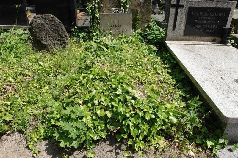 Zdjęcie grobu Jerzy Bukowski (1)