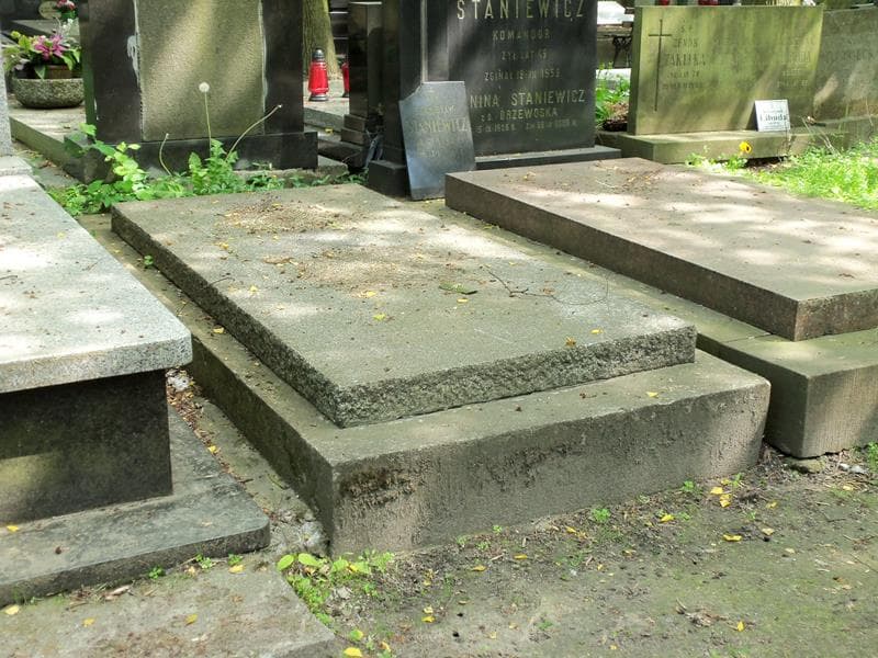 Zdjęcie grobu Teodor Pomiński (1)