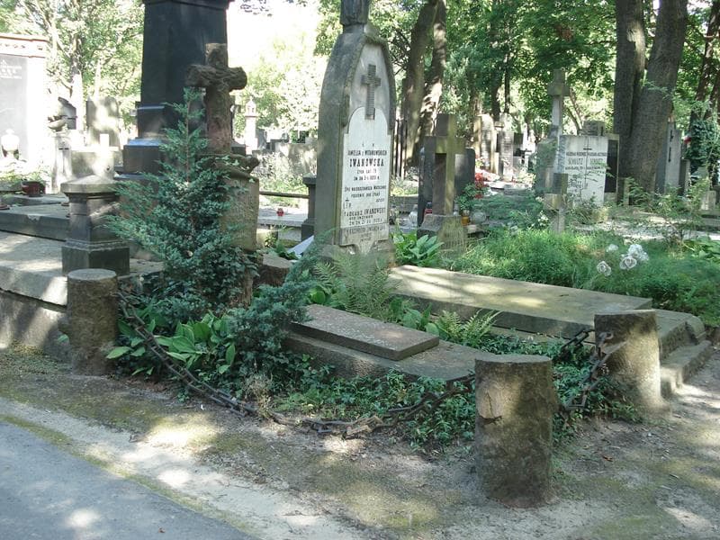 Zdjęcie grobu Józef Witold Wysocki (1)