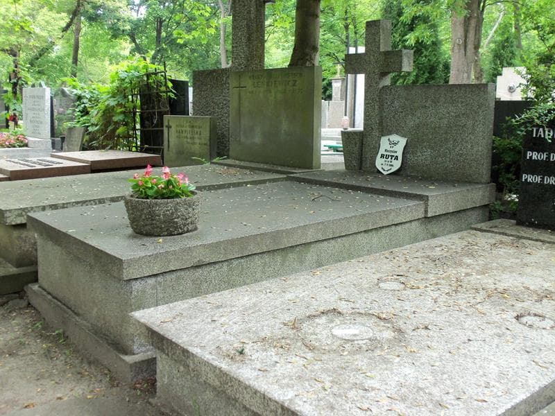 Zdjęcie grobu Aleksandra Wróblewska (1)