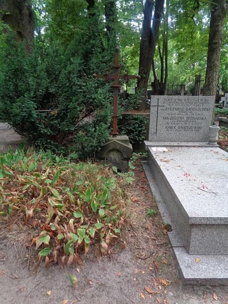 Zdjęcie grobu: Zdzisław Przeździecki