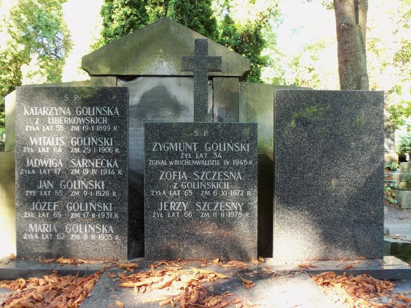Zdjęcie grobu Józef Goliński (2)