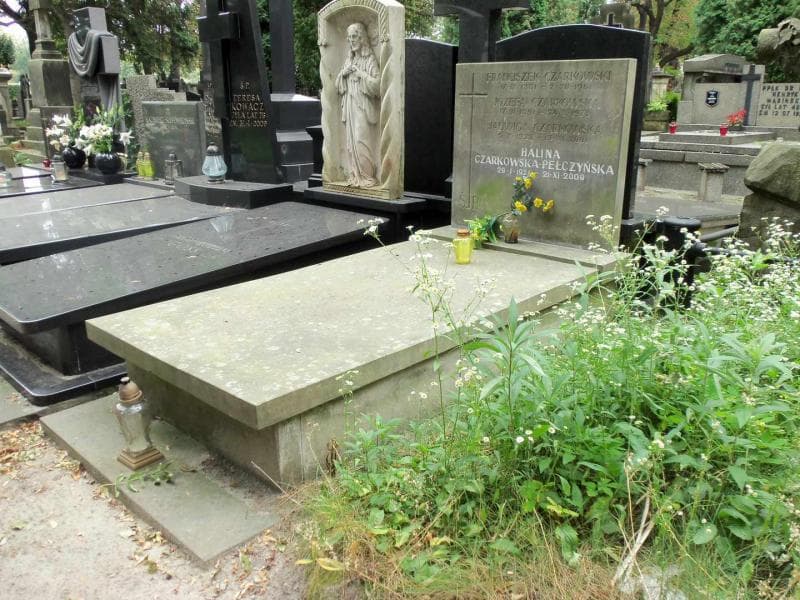 Zdjęcie grobu Jadwiga Czarkowska (1)