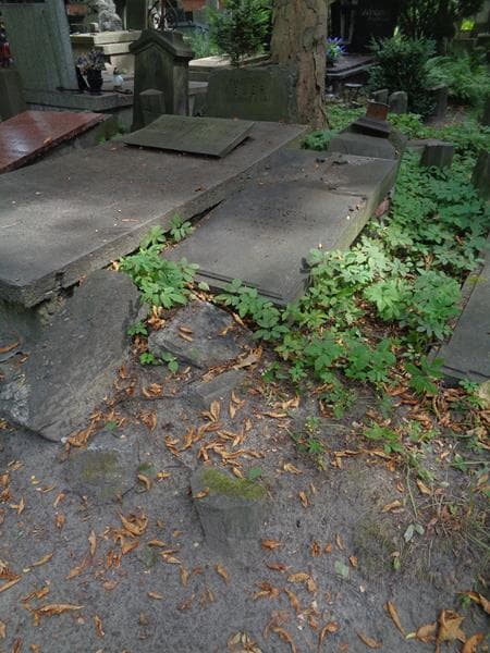 Zdjęcie grobu: Emilja Lipińska
