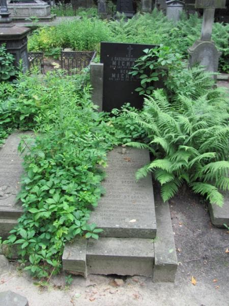 Zdjęcie grobu: Henryk Michaux