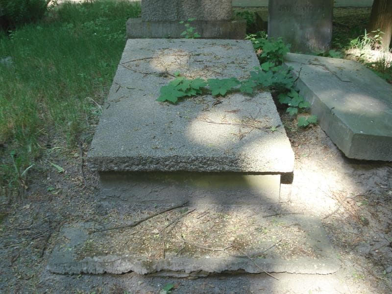 Zdjęcie grobu: Władysław Janicki