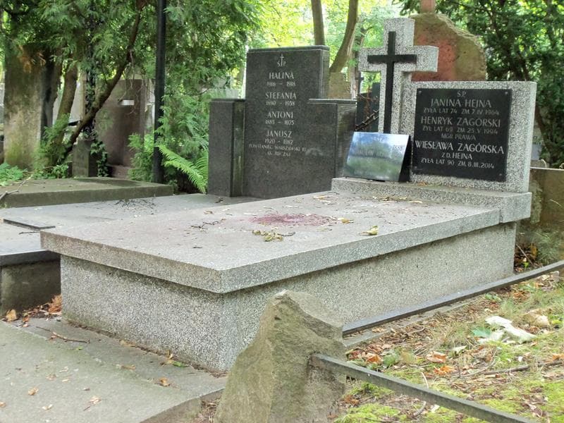 Zdjęcie grobu Janina Hejna (1)