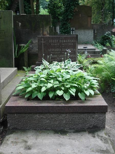 Zdjęcie grobu: Józef Domański