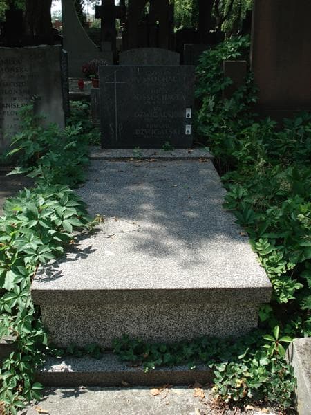 Zdjęcie grobu Edward Dźwigalski (1)