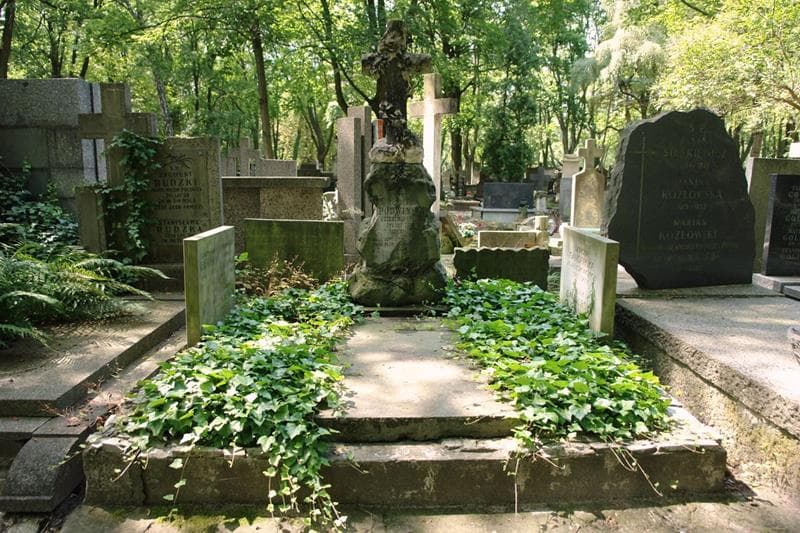 Zdjęcie grobu Regina Podwińska (1)