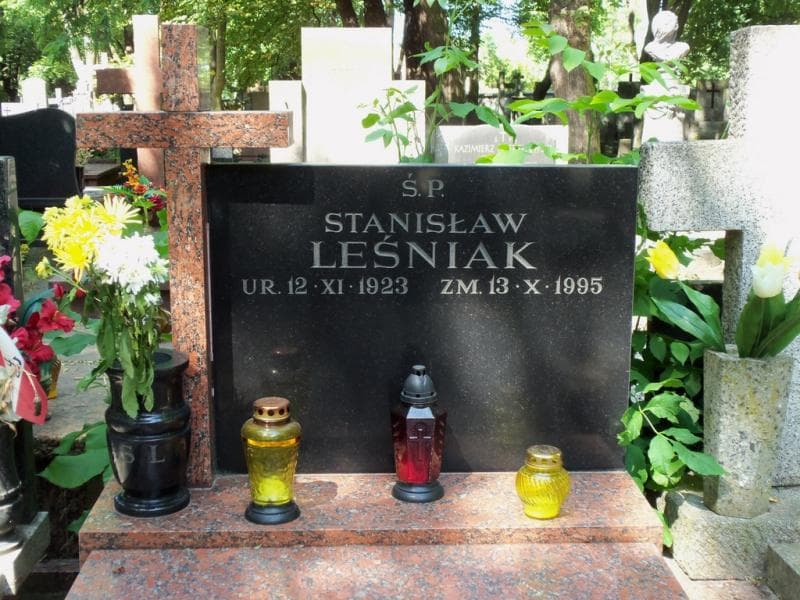 Zdjęcie grobu Stanisław Leśniak (2)