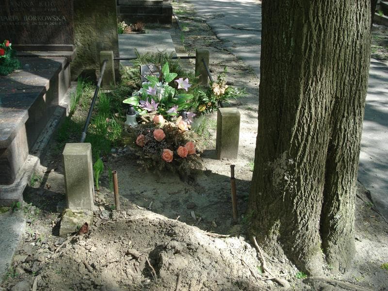 Zdjęcie grobu: Kamilla Boll